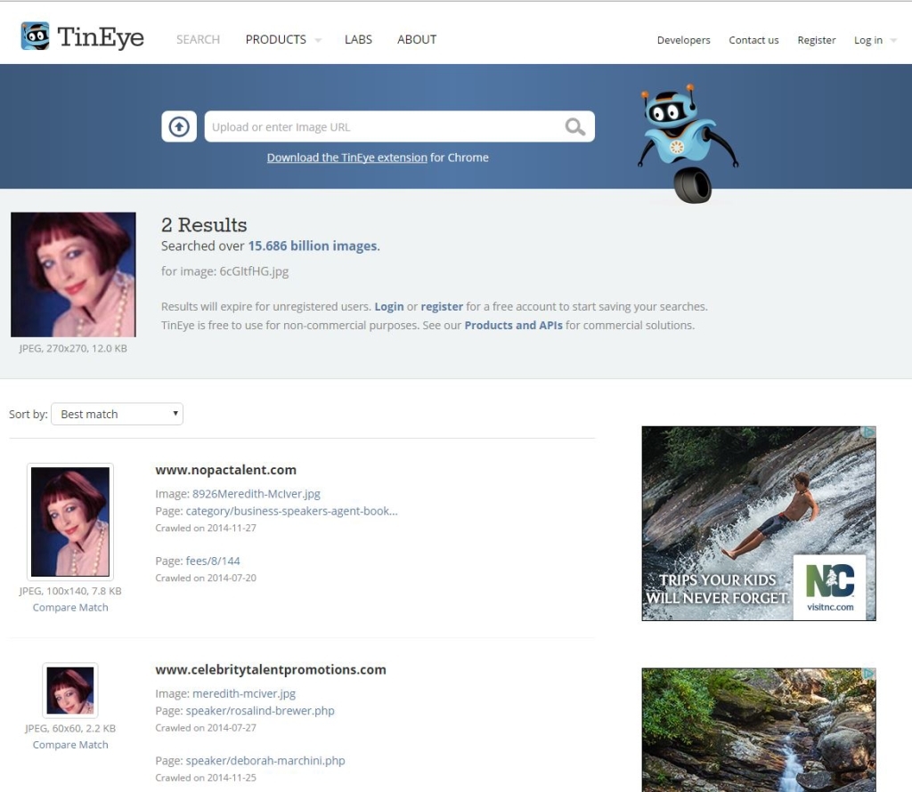 Tineye Reverse Image Search