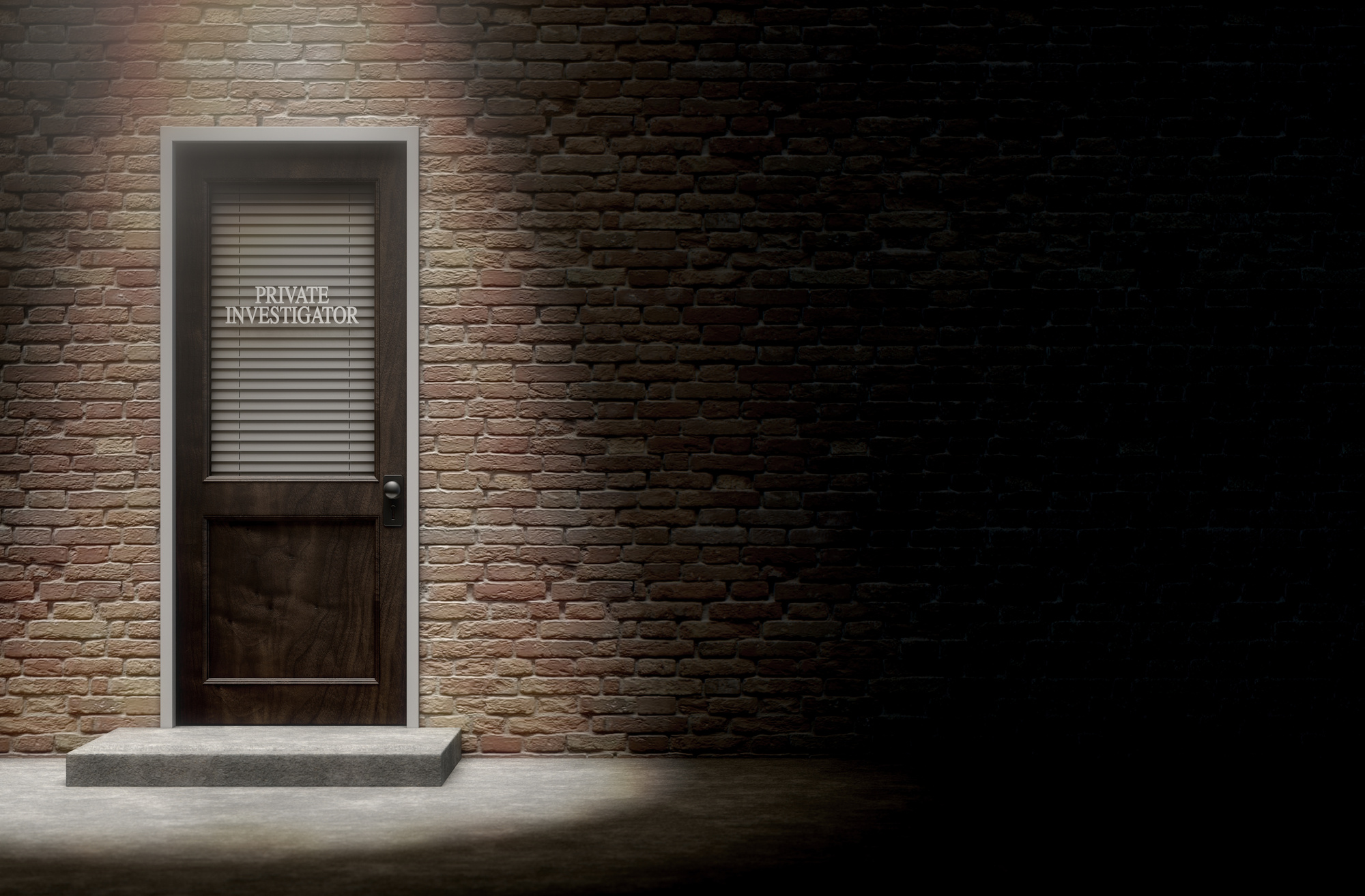 how much does a private investigator cost