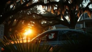 local investigators island expertise